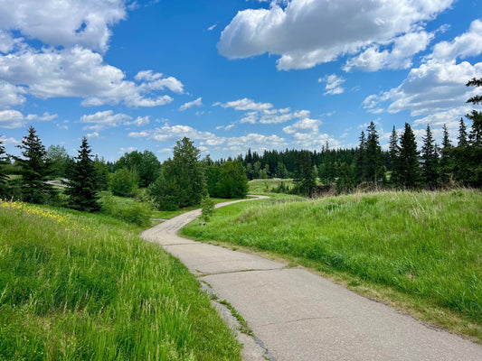 Edmonton