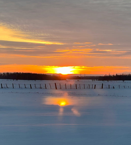 Sunsets on the Farm